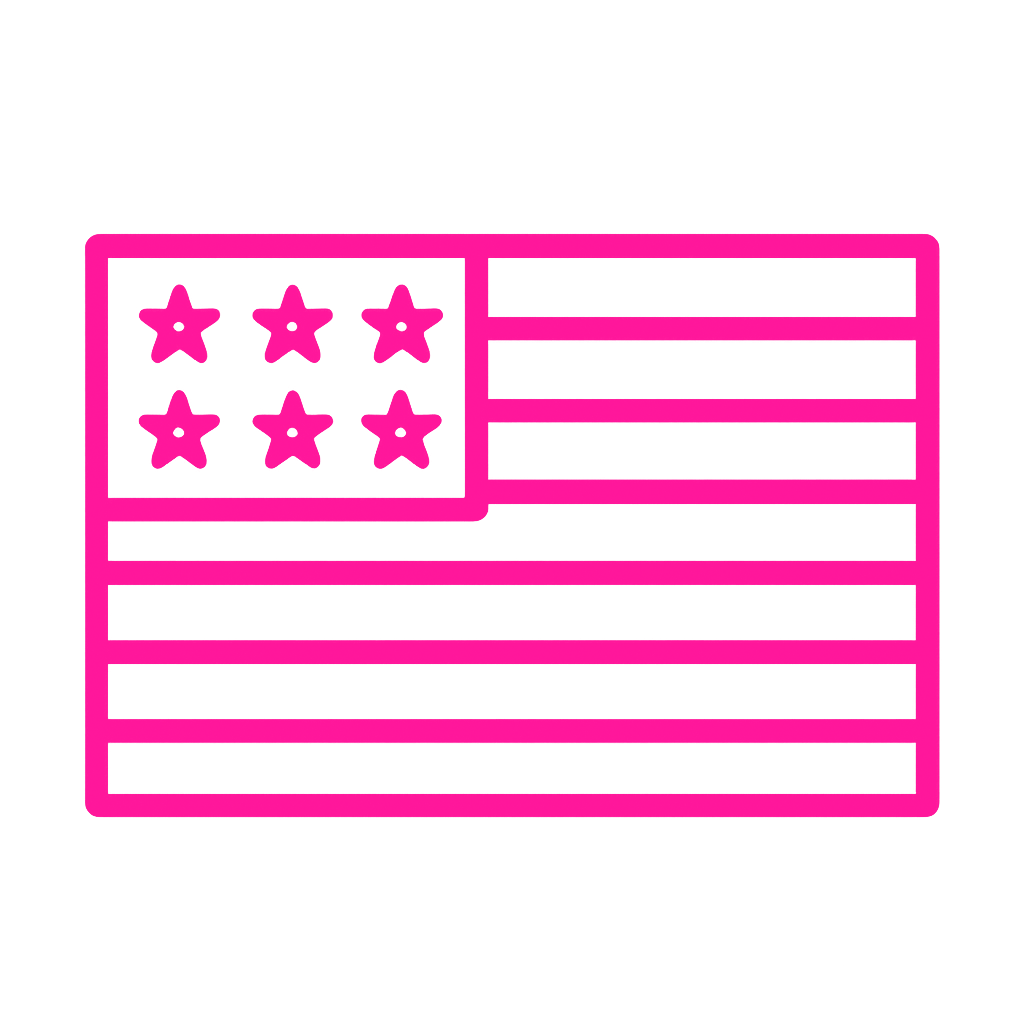 AMERICAN FLAG